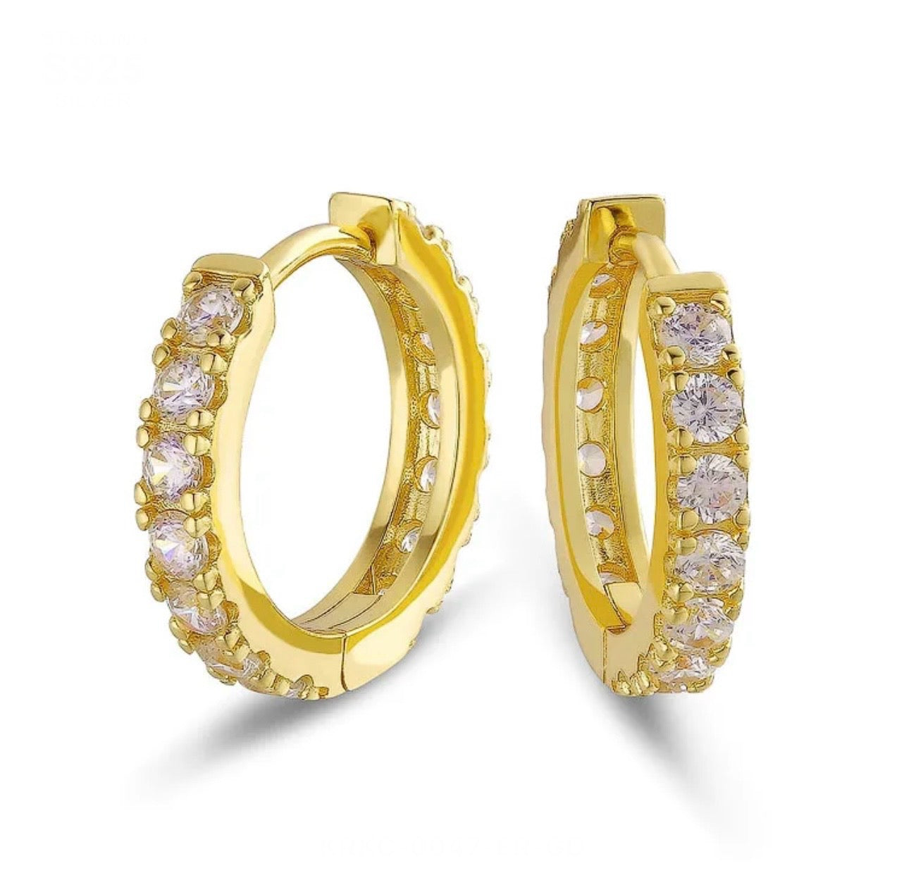 Hoop Earrings (02133)